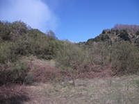 anobello-01042012 101
